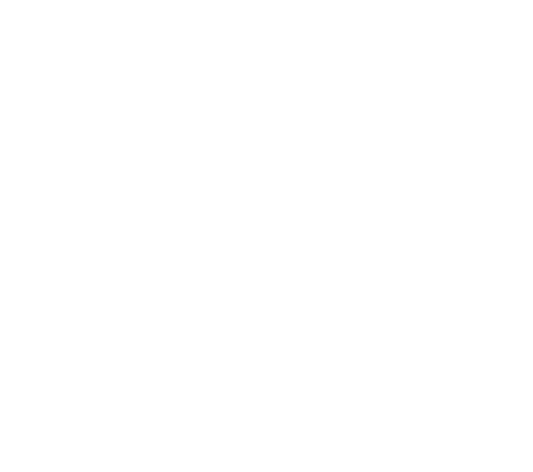 نینا میردریکوند